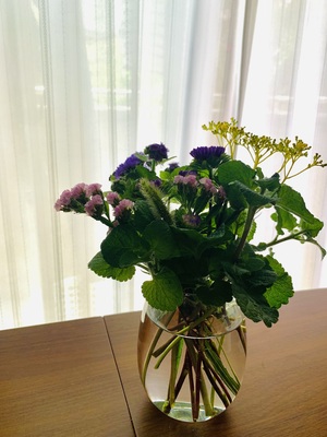 クラニオセイクラル・バイオダイナミクス こころ-からだ-魂） クラニオセイクラル バイオダイナミクス－Cranio JAPAN