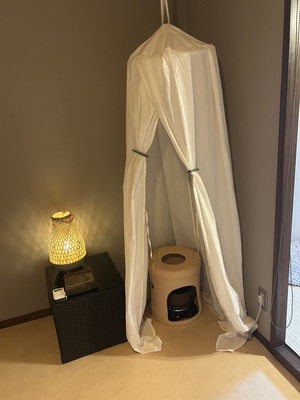 若よもぎ蒸しECXIA【予約受付】