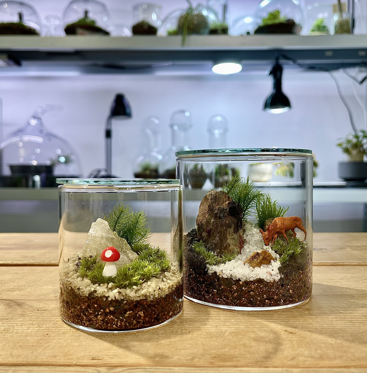 【FIELDSTYLE TOKYO 2026】苔テラリウムワークショップ　Feel The Garden
