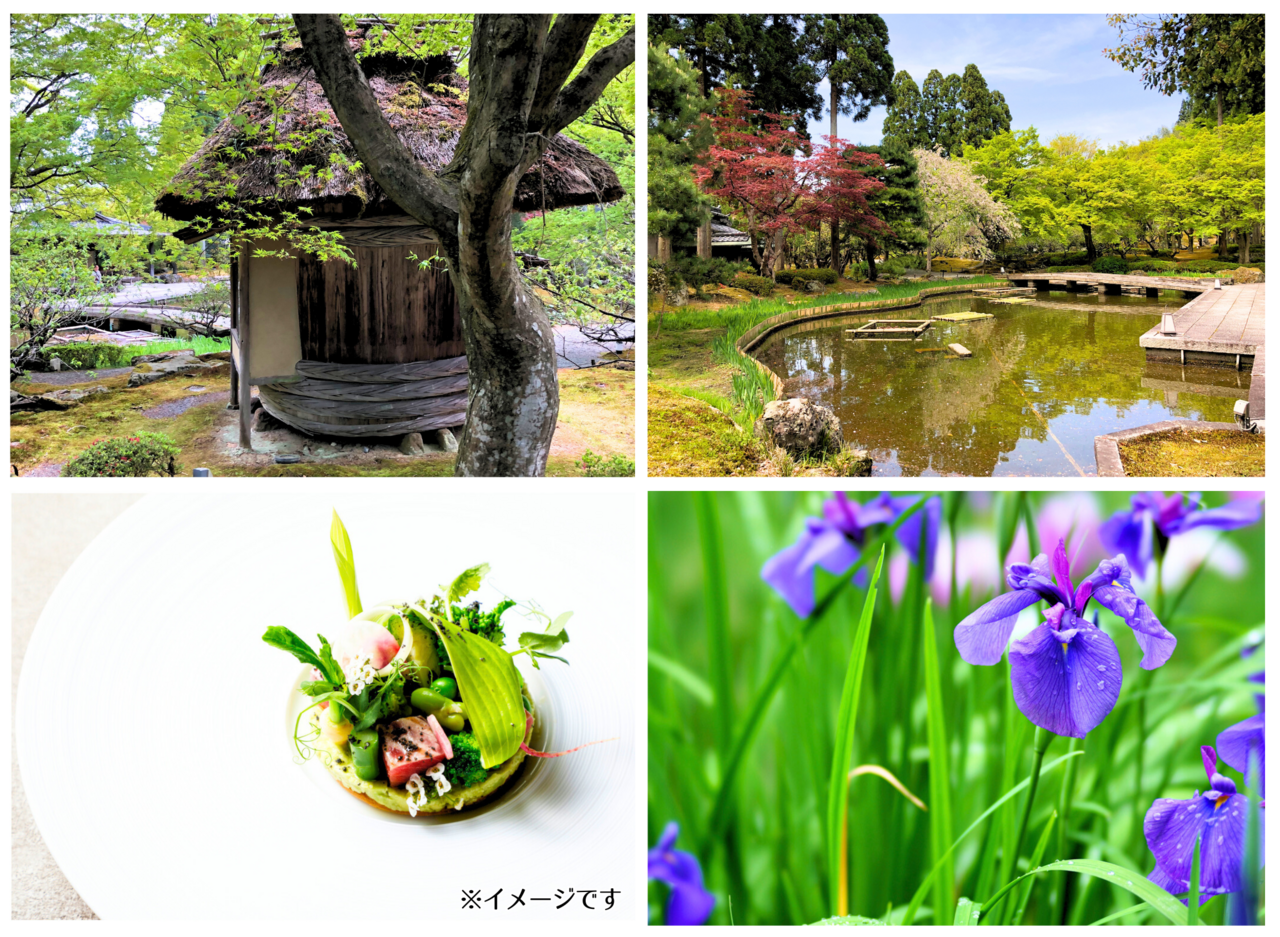 【受付終了】華が咲き苔が美しいしょうざんの日本庭園と高級リゾートホテルRokuでのランチ(館内ツアー付き)