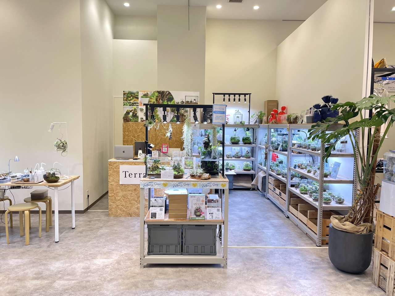 仙台アエル店】基礎編 癒しのインテリアグリーン 苔テラリウムワーク