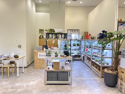 仙台アエル店】基礎編 癒しのインテリアグリーン 苔テラリウムワーク