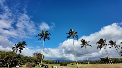 🏝️ハワイ４島周遊🚢クルーズとゴルフ⛳️の報告と説明会