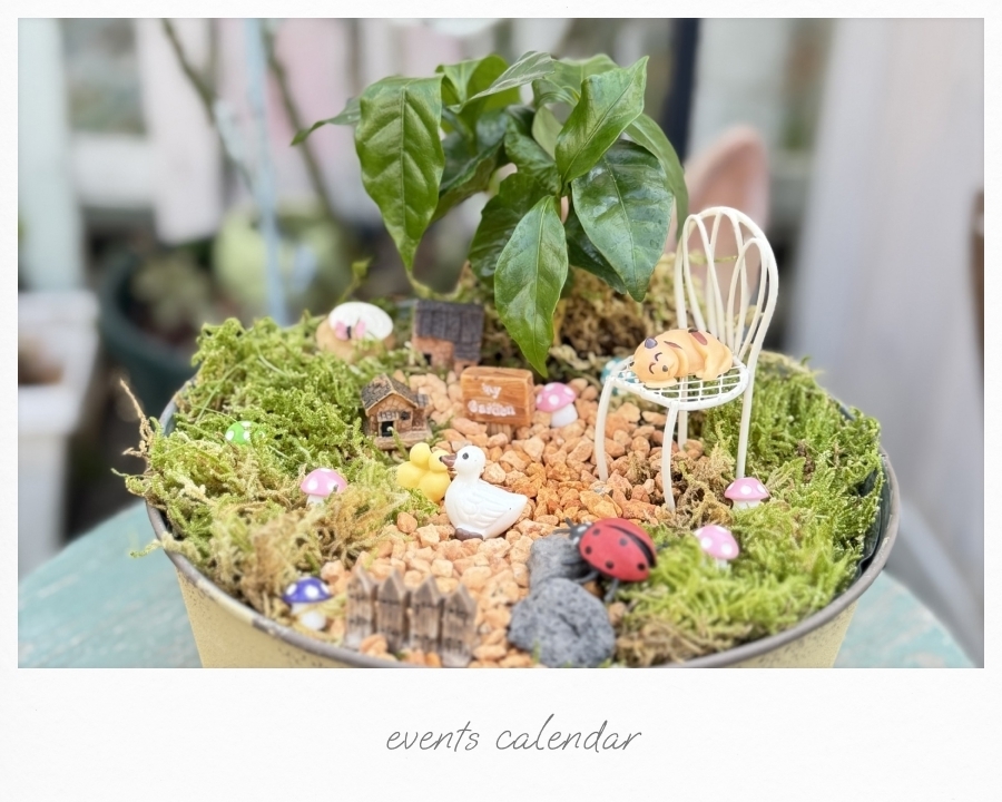 3/21(土) コーヒーの苗木を使ってミニチュアガーデン教室