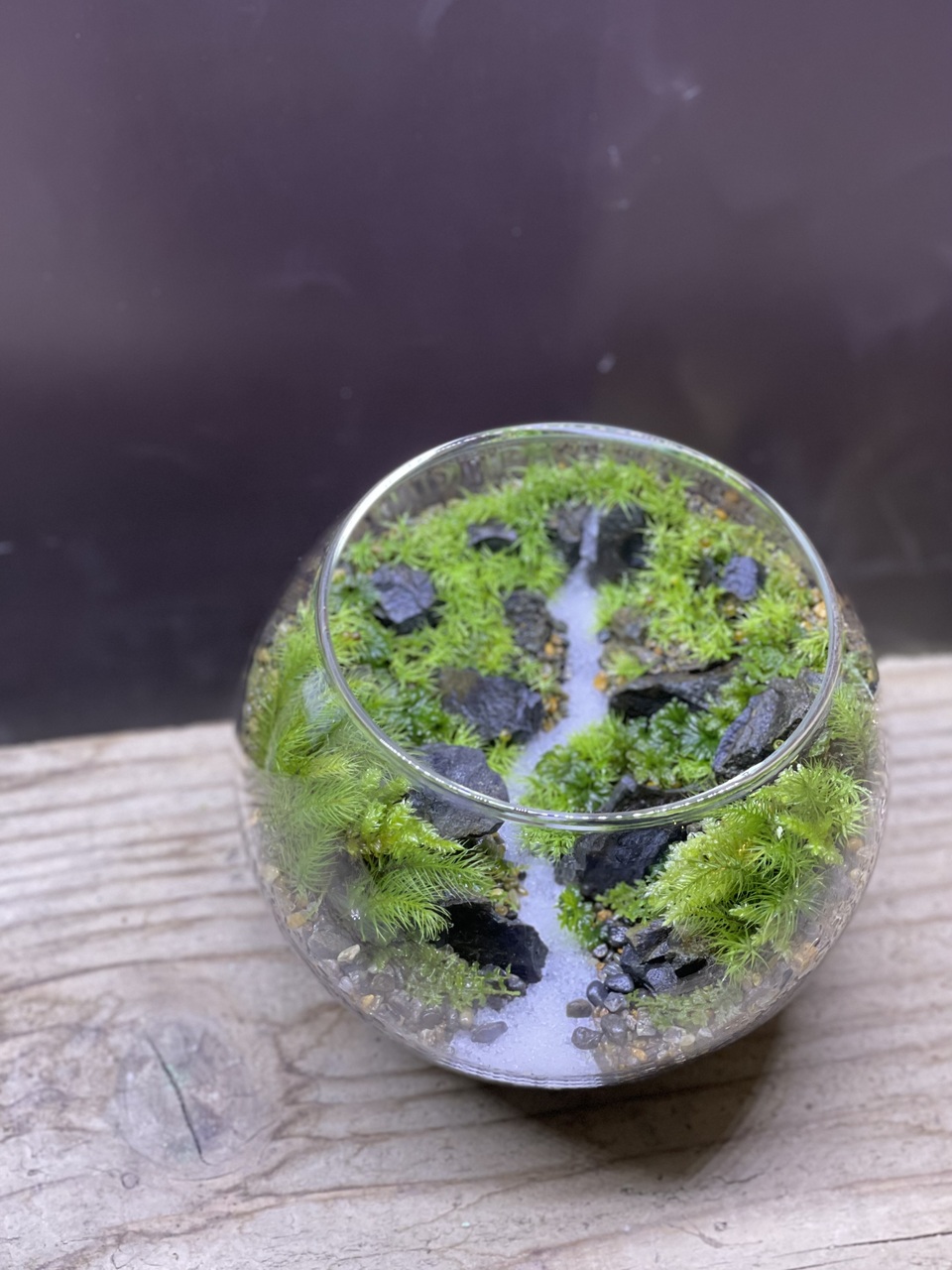 【 阪急うめだ本店 】<moss-connect>　遠近法を学ぼう！遠くに滝がある景色作り。【大阪】