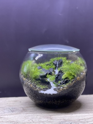 【 阪急うめだ本店 】<moss-connect>　遠近法を学ぼう！遠くに滝がある景色作り。【大阪】