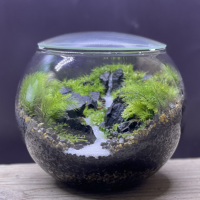 【 阪急うめだ本店 】<moss-connect>　遠近法を学ぼう！遠くに滝がある景色作り。【大阪】