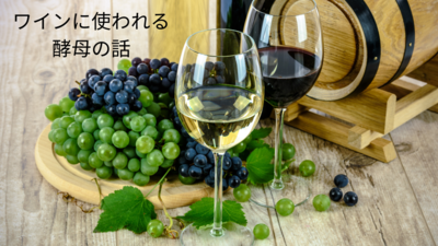 クリスマス🎄オーガニックワインプチセミナー（参加費FREE）＊オンライン