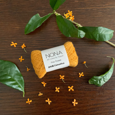 草木染め教室  |  NATURAL DYE WORKSHOP