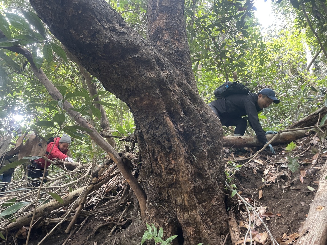 【12/10】おとな学部・逗子　 逗子鎌倉のお山をさ迷う探検隊