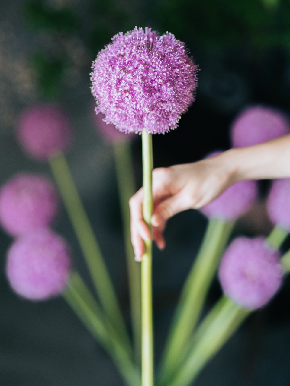 ワークショップ予約