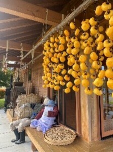 保存食の教室【干し柿作り】