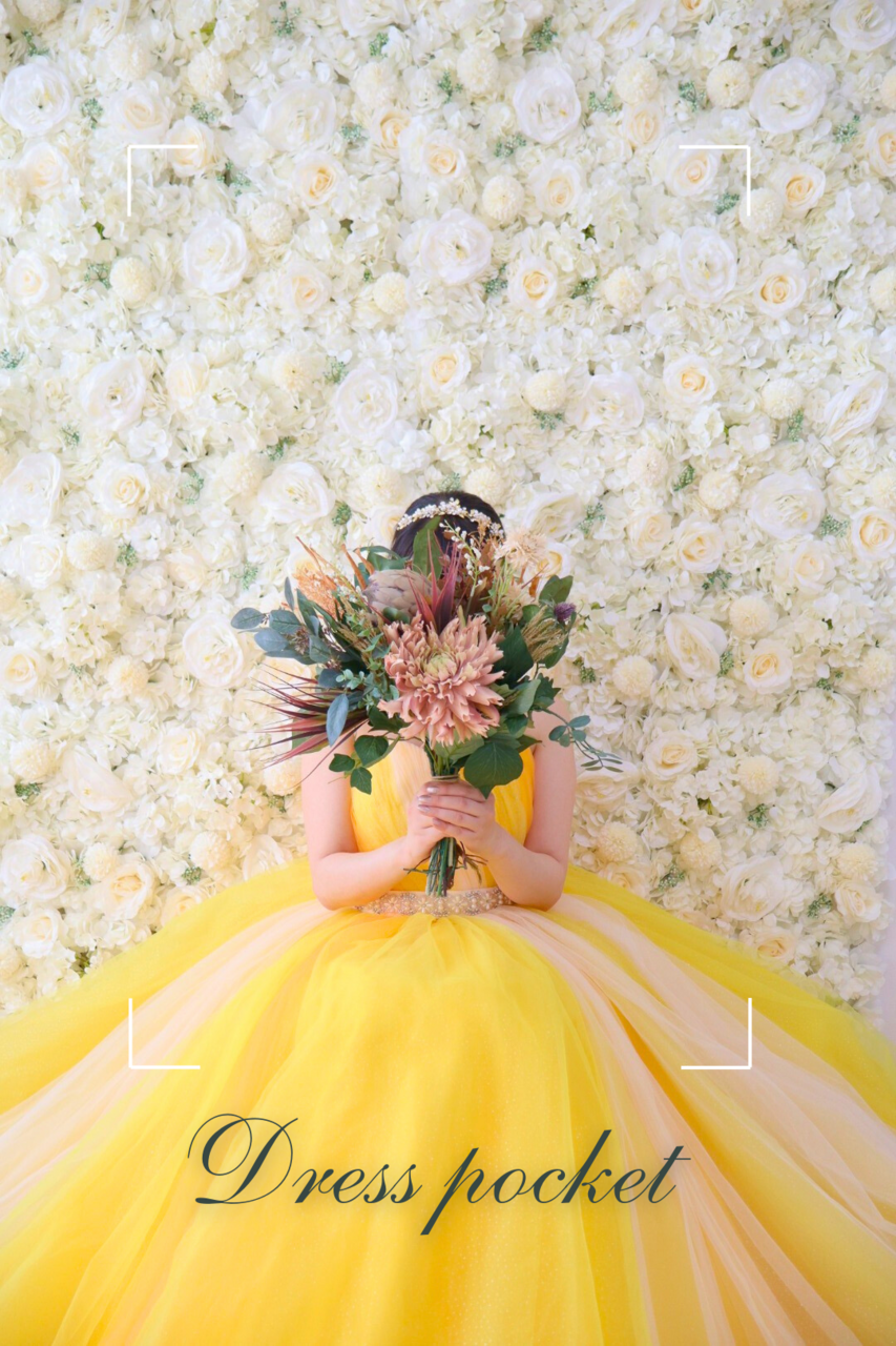 Dress pocket 専用ミニスタジオ撮影