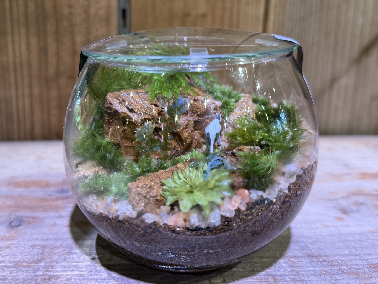 【garage TOKYO】9月苔テラリウム定期ワークショップ【いなみ】