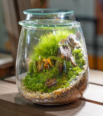 【garage TOKYO】9月苔テラリウム定期ワークショップ【いなみ】