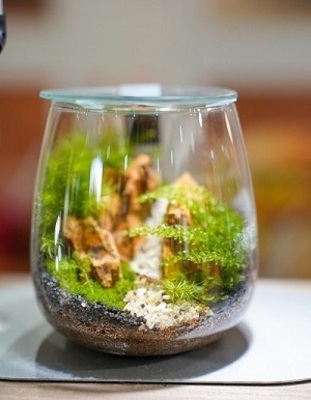 【garage TOKYO】9月苔テラリウム定期ワークショップ【いなみ】