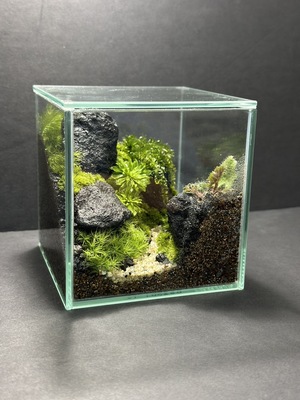 【garage TOKYO】9月苔テラリウム定期ワークショップ【いなみ】