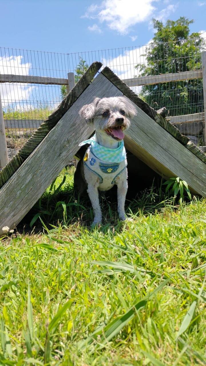 各種ご予約はこちらから