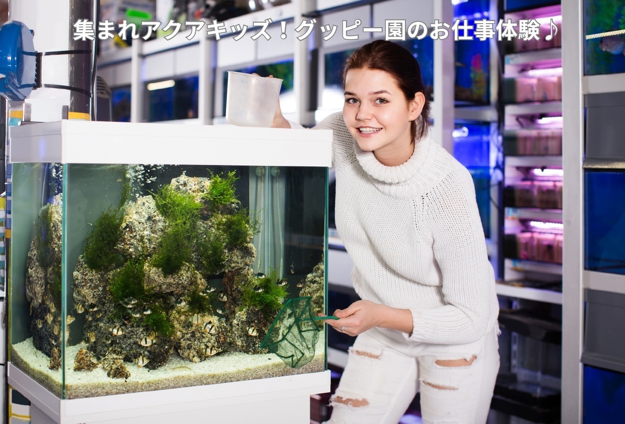 集まれアクアキッズ！グッピー園のワクワクお仕事体験♪
