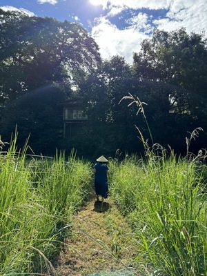 ベチバーレスキューセットレクチャー講座　《ベチバーウォーター100ml1本とレスキュースプレー セット4種 ・送料含む》