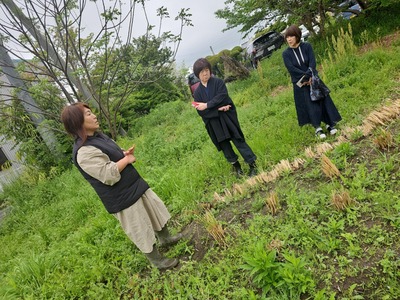 ベチバーレスキューセットレクチャー講座　《ベチバーウォーター100ml1本とレスキュースプレー セット4種 ・送料含む》