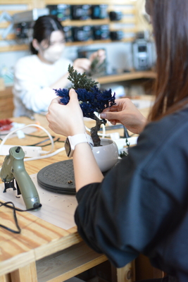 【阪急うめだ本店】世界に一つだけの『再生盆栽アート』を作ろう！