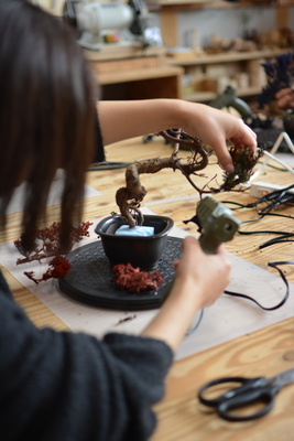 【阪急うめだ本店】世界に一つだけの『再生盆栽アート』を作ろう！