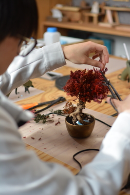 【阪急うめだ本店】世界に一つだけの『再生盆栽アート』を作ろう！