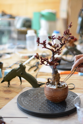 【阪急うめだ本店】世界に一つだけの『再生盆栽アート』を作ろう！