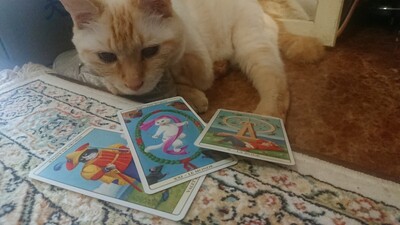 11名様限定!!!　2026年の運勢鑑定40分 12/27、12/30 オンラインコンサルテーション