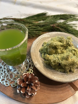 ＜春の山菜摘み企画＞長野ウェルネス松リトリート