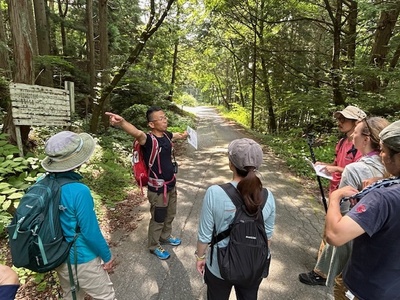 ＜春の山菜摘み企画＞長野ウェルネス松リトリート