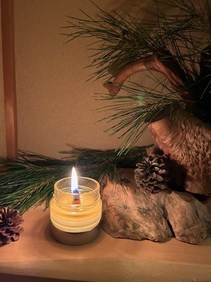 ＜春の山菜摘み企画＞長野ウェルネス松リトリート