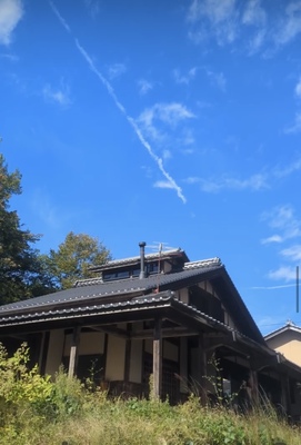 ＜春の山菜摘み企画＞長野ウェルネス松リトリート