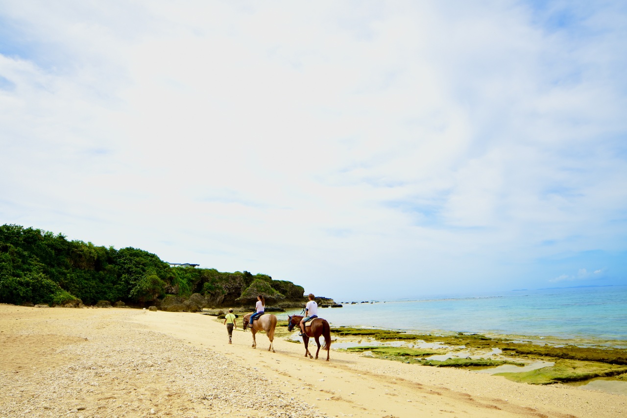 おきなわ乗馬倶楽部　乗馬体験予約　※2026年4月1日以降のご予約はこちら