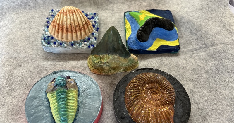 東松山市化石と自然の体験館の予約サービス