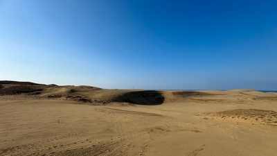 【鳥取砂丘で新感覚アクティビティー】ガイドと一緒にスノーシューで砂n歩（おさんぽ）