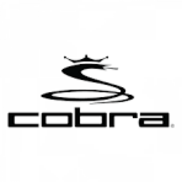 【無料】コブラメーカー試打会　2/23（月祝）