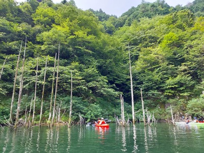龍姫湖カヤックレイククルージング（120分）【広島・湖・カヤック/カヌー】