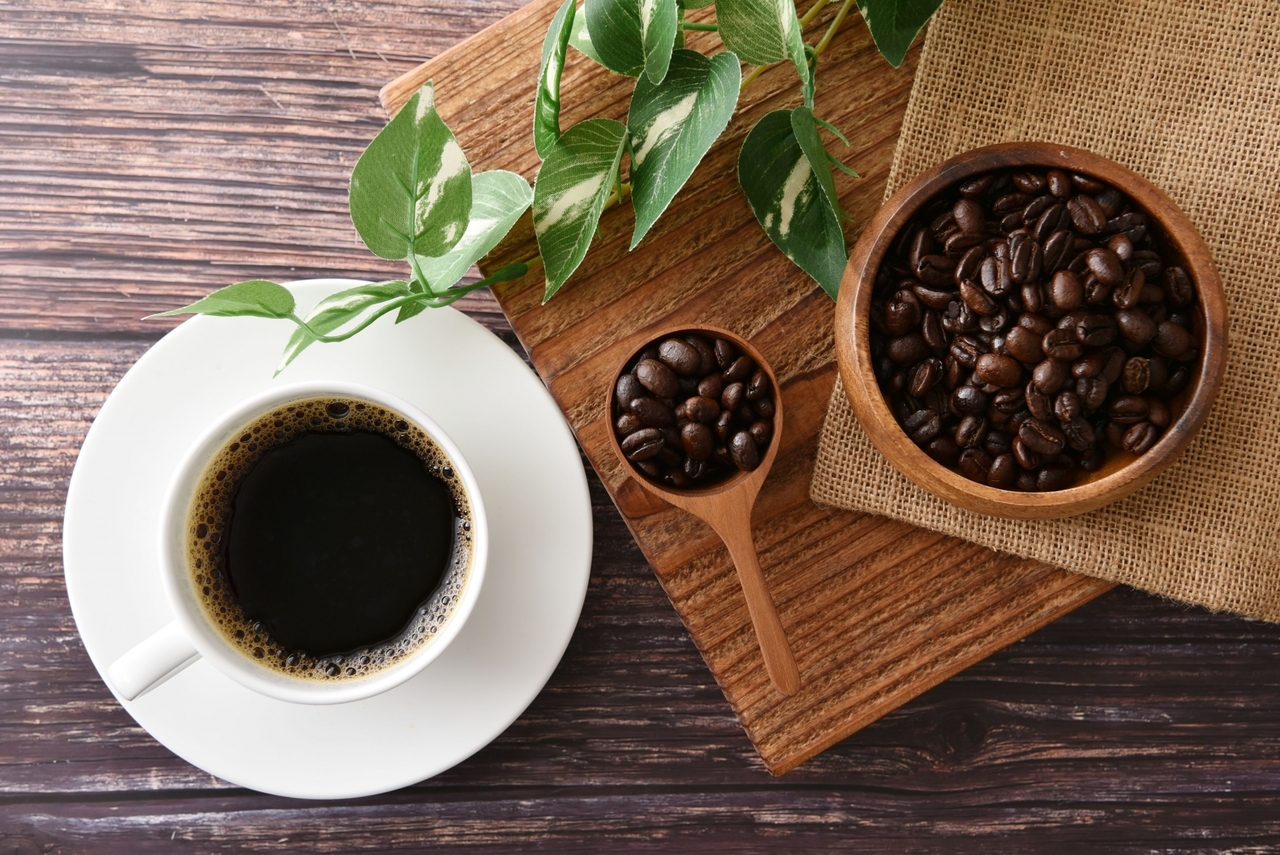 【瀬田】大人のコーヒー体験｜2025年10月4日(土)