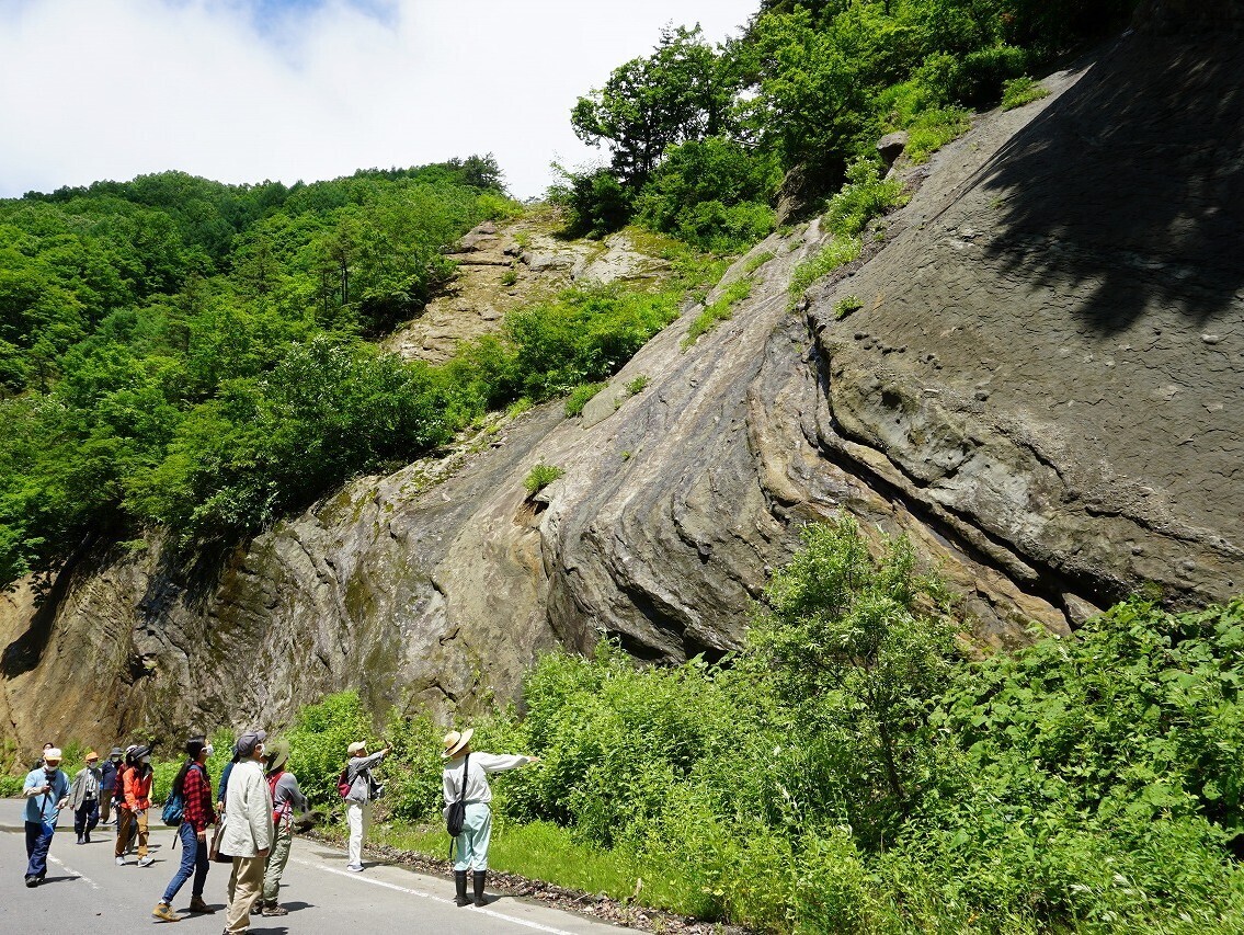 コース番号6511　「地質現象の宝庫・奥裾花渓谷」と構造線交わる諏訪 2日間