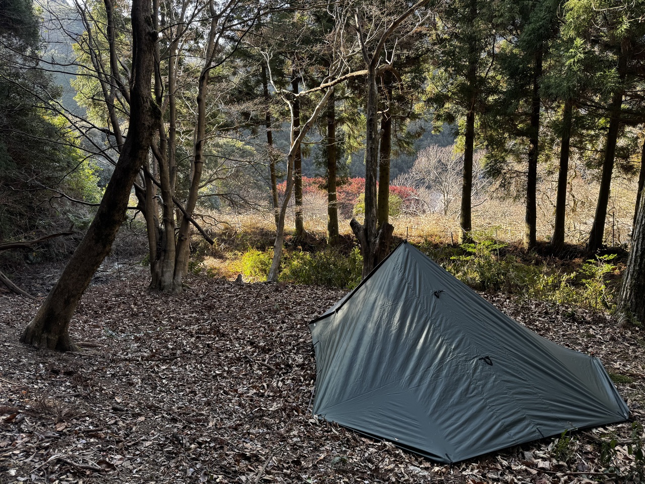 NGS野営場（栗杉サイト）