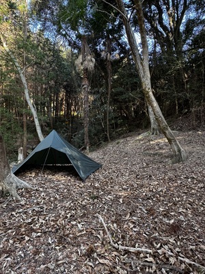 NGS野営場（栗杉サイト）