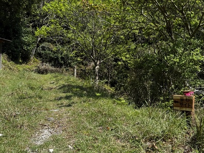 NGS野営場（栗杉サイト）