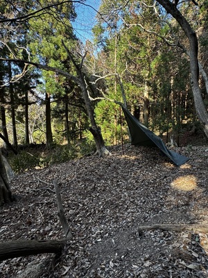 NGS野営場（栗杉サイト）