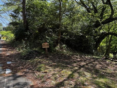 NGS野営場（栗杉サイト）