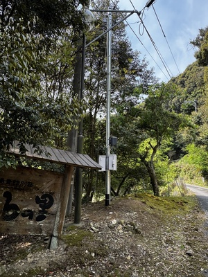 NGS野営場（栗杉サイト）