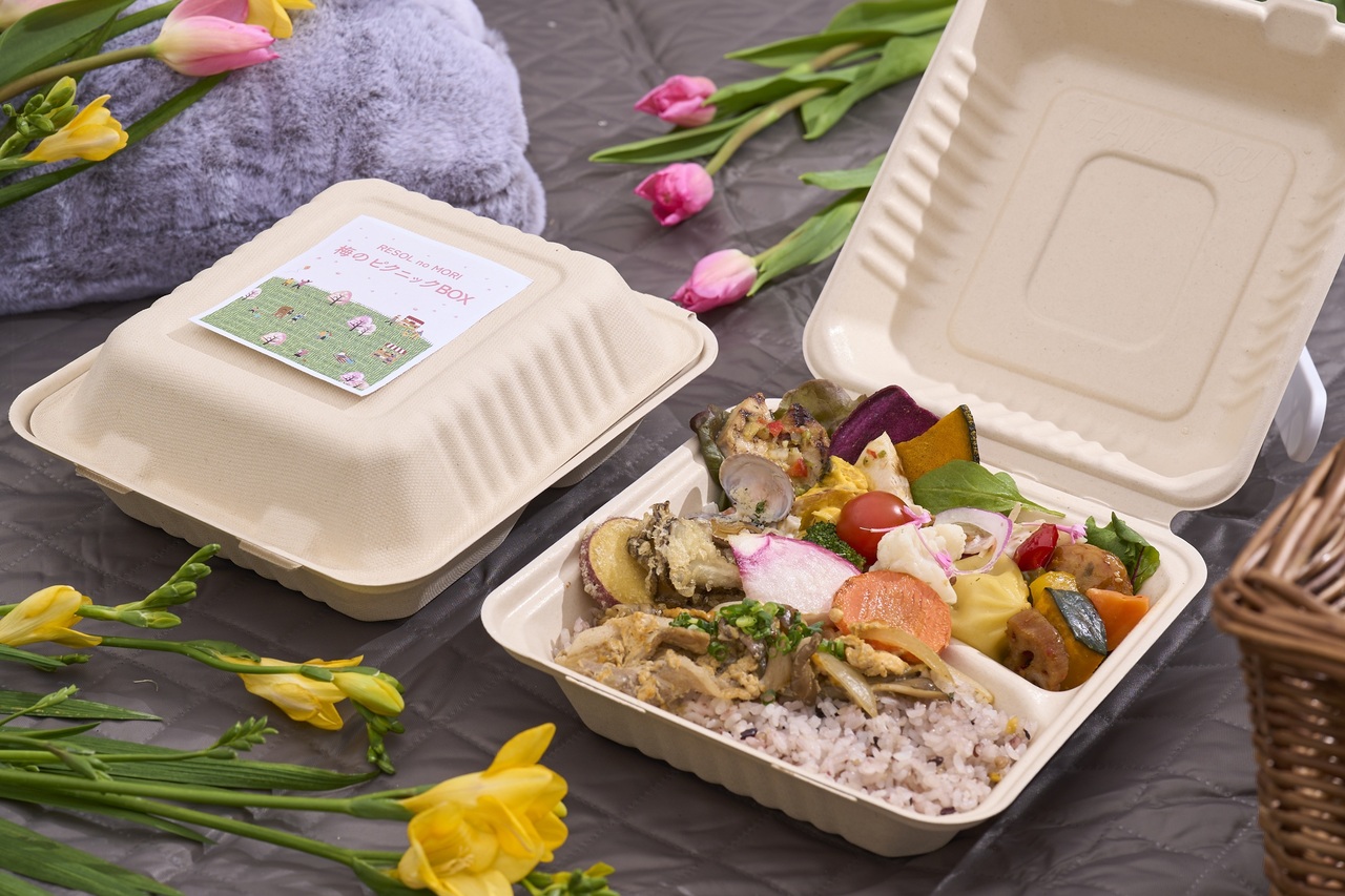 ＼2/21（土）～3/15（日）／梅のピクニックBOX