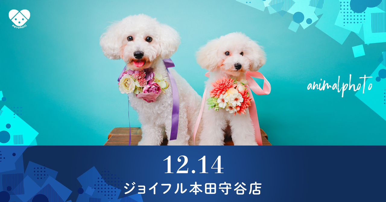 茨城県【ジョイフル本田守谷店】 2025年12月14日（日）