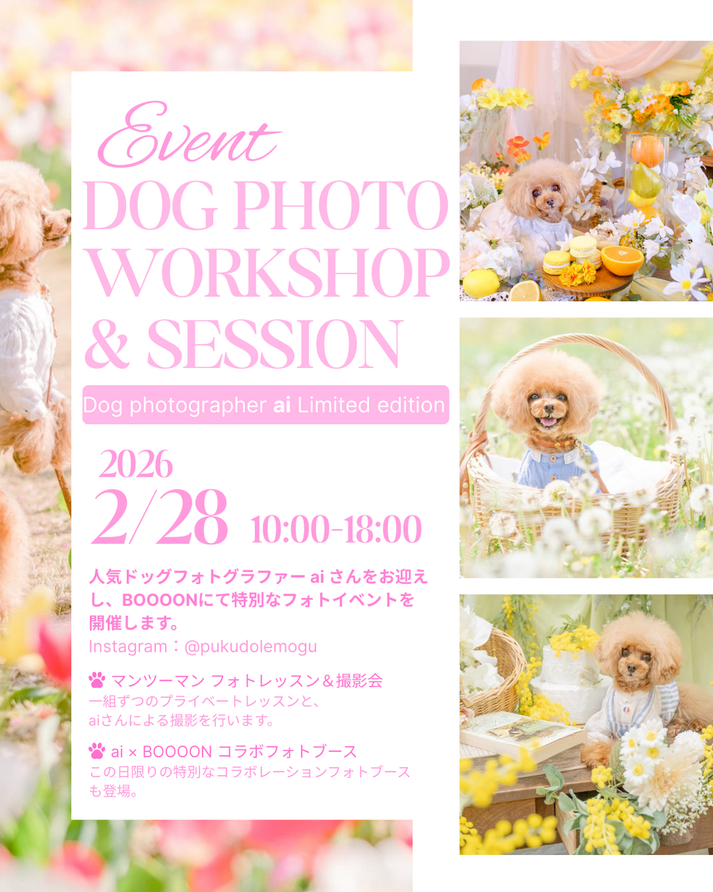 【満員御礼】2/28 わんこフォトレッスン&撮影会〈じっくりコース〉